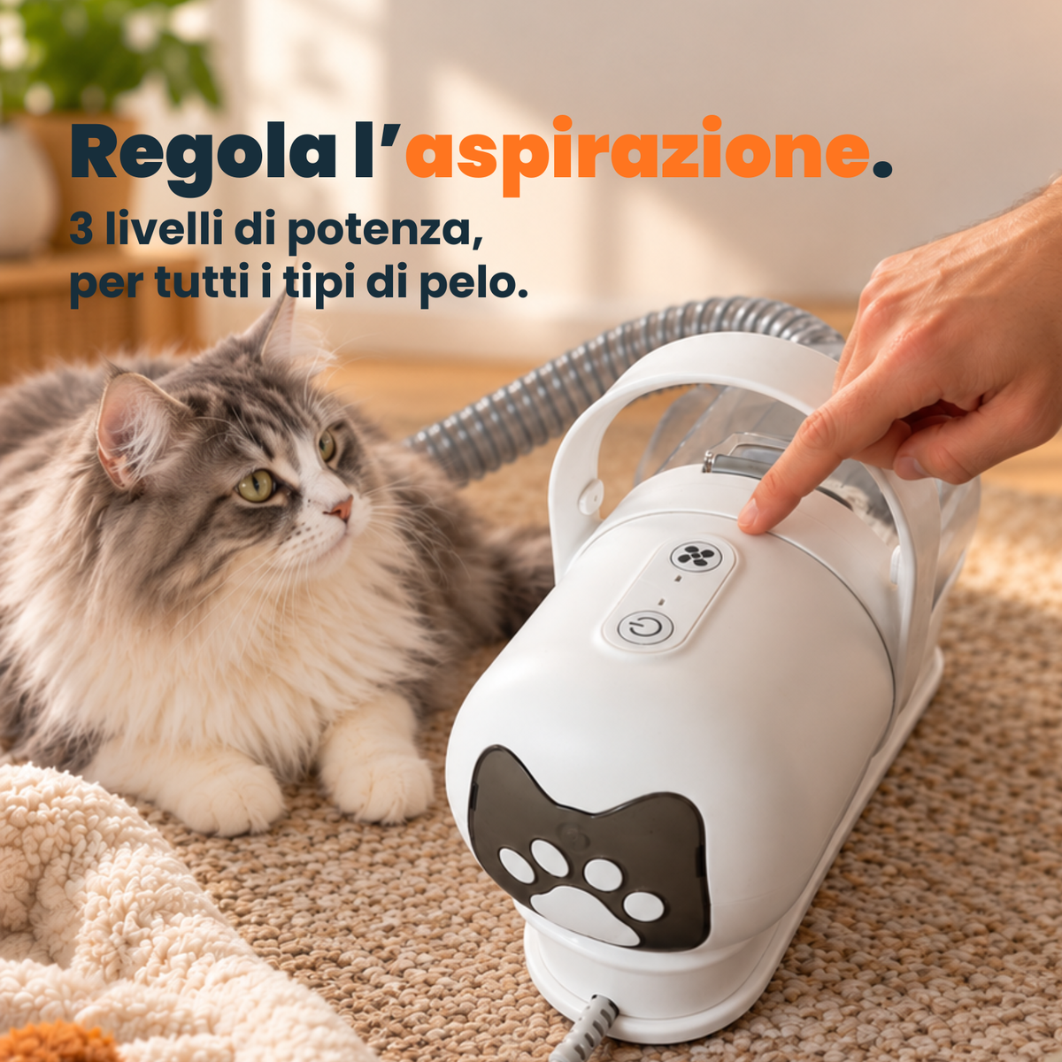 CleanDoggo
