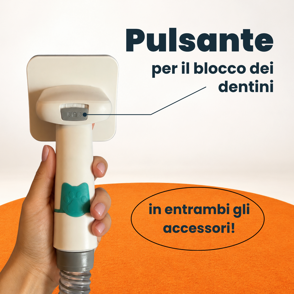 Spazzole per il mantello